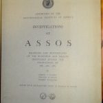 Y19100239