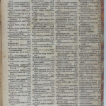 Y23120061