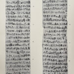 Y24090005