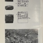 Y24120118