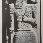 Y24120087