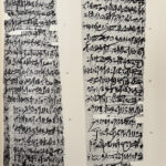 Y24090005