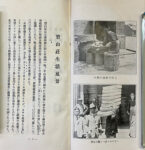 K25050050