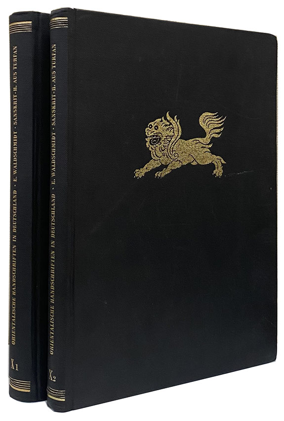 Y24110038