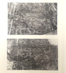 Y25050338