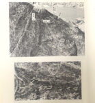 Y25050338