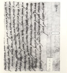 Y25050349
