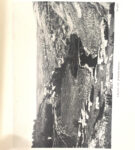 Y25060231