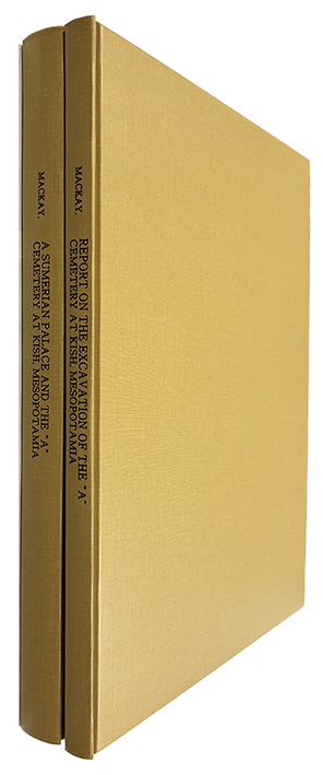 Y24100198