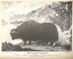 Y25070205