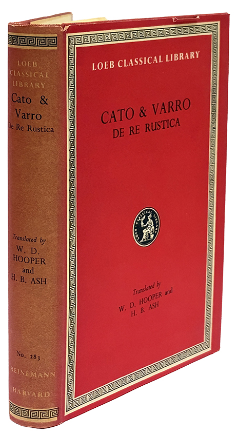 Y26060061