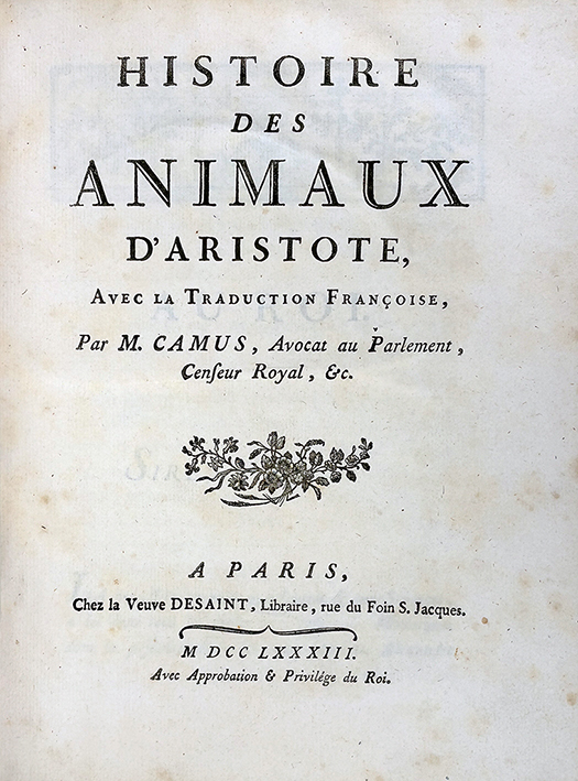 Y26050174