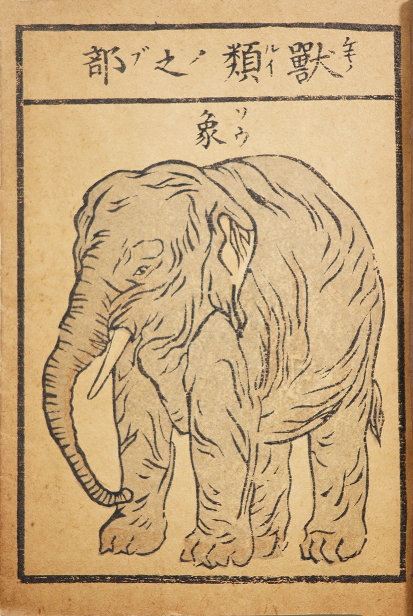 K24120021