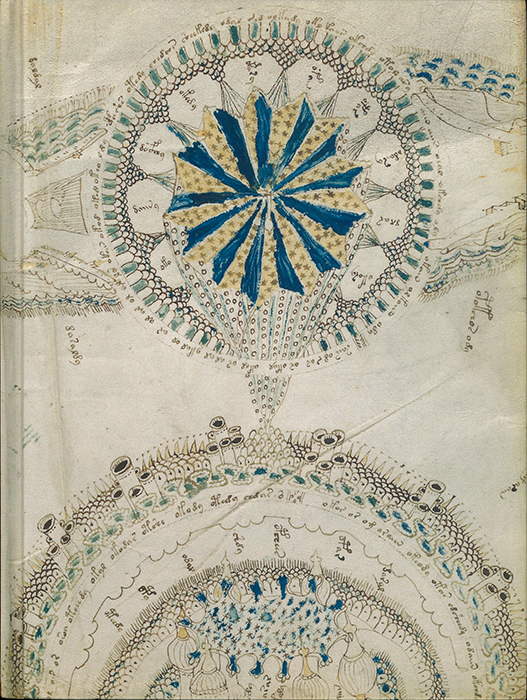 Y26090018